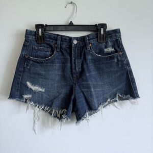 Blank NYC The Barrow Frayed Hem Distressed Jean Shorts Dark Wash 29
